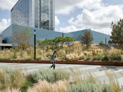 Ve čtvrtek 7. března 2024 od 19h30 se ve velkém sále kina Světozor uskuteční přednáška nizozemské architektky Maike van Stiphout a specialisty na výsadbu rostlin Freda Booye.