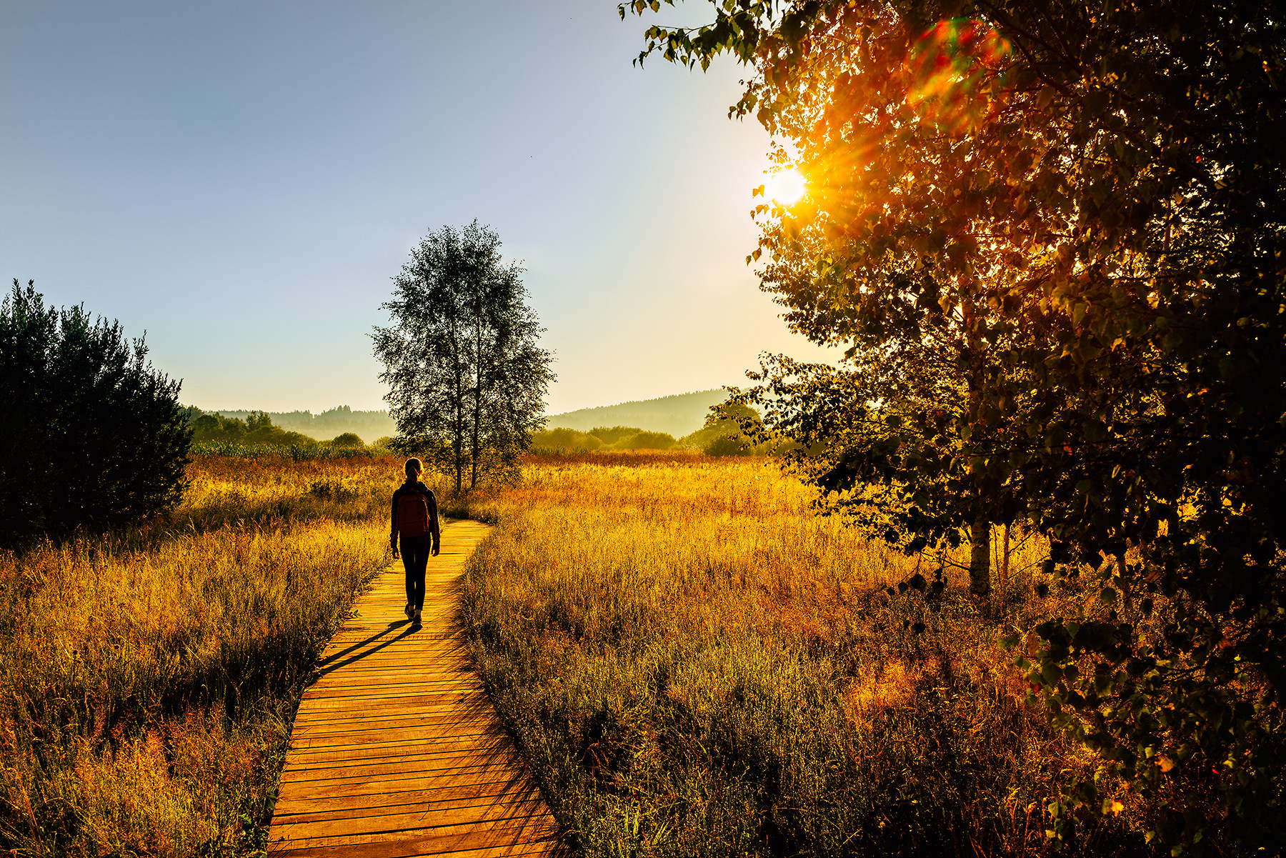 Naučná stezka Olšina od studia Reaktor