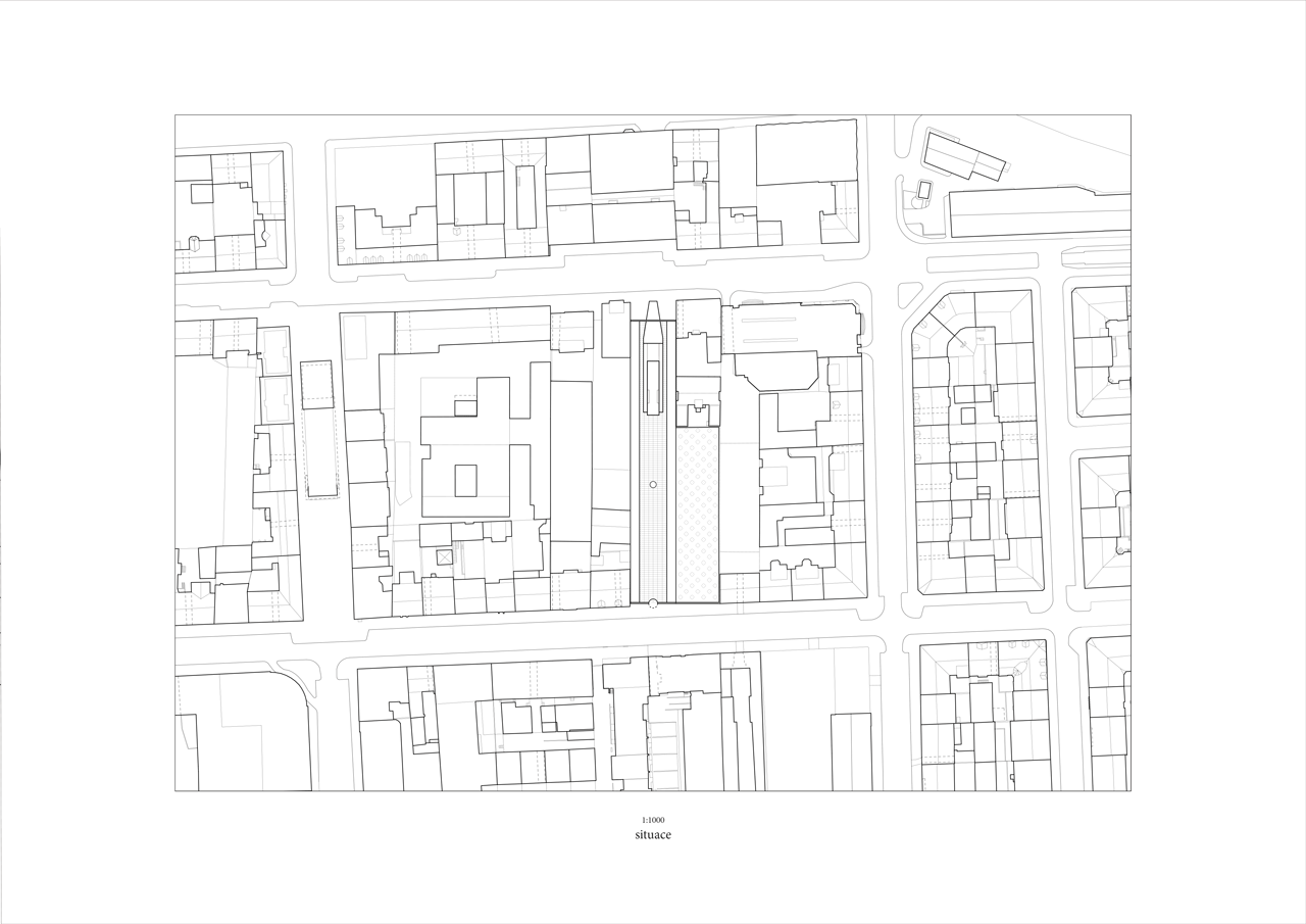 Alžběta Widholmová, Ondřej Blaha, Nekropole metropole, situace - foto