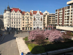 Náměstí Miloše Formana