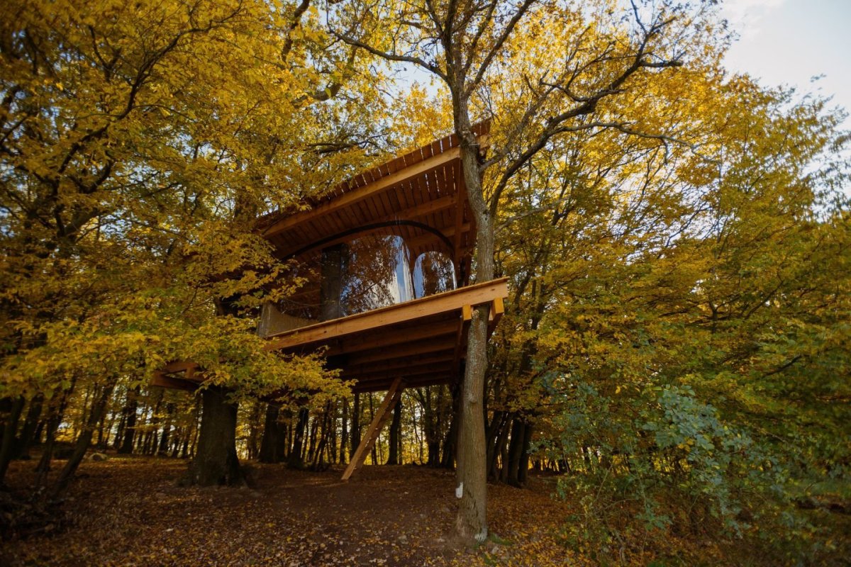 Tree house, Jan Tyrpekl