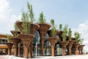 EXPO 2015, Vietnamský pavilon - foto