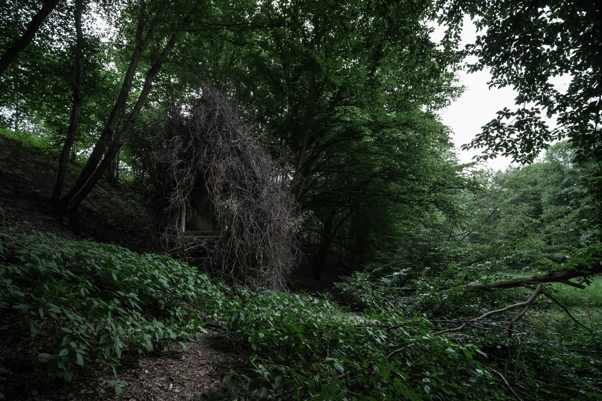 Rošťák je malá dřevostavba. Fasádu má z odpadního materiálu - ořezových větví. 