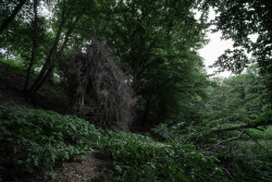 Rošťák je malá dřevostavba. Fasádu má z odpadního materiálu - ořezových větví. 