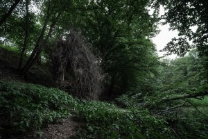 Rošťák je malá dřevostavba. Fasádu má z odpadního materiálu - ořezových větví. 