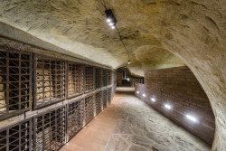 Vinný sklep Konice, Tomáš Dvořák architekti