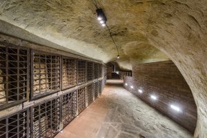 Vinný sklep Konice, Tomáš Dvořák architekti