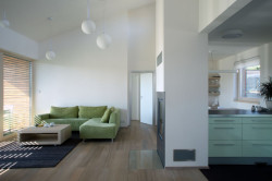 Vladimír Balda architekt, Přízemní dům se slunolamem – foto