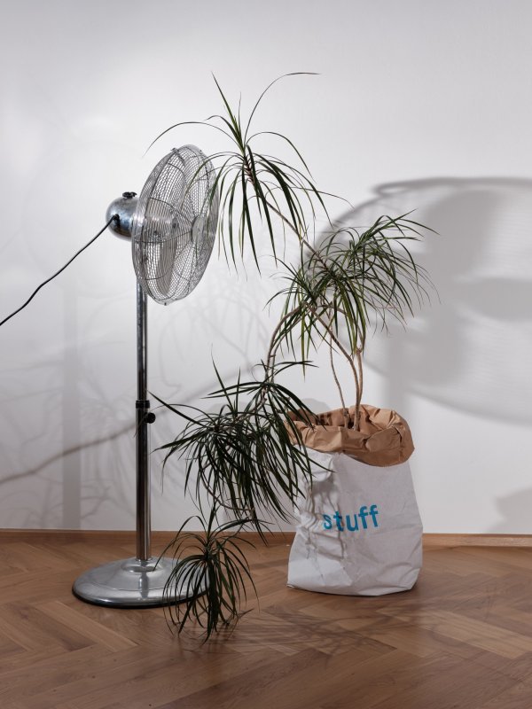 Kniha "Plantlovers. Neviditelná botanika městského prostředí" se věnuje rostlinám a udržitelnosti