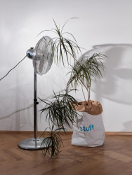 Kniha "Plantlovers. Neviditelná botanika městského prostředí" se věnuje rostlinám a udržitelnosti