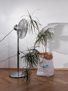 Kniha "Plantlovers. Neviditelná botanika městského prostředí" se věnuje rostlinám a udržitelnosti