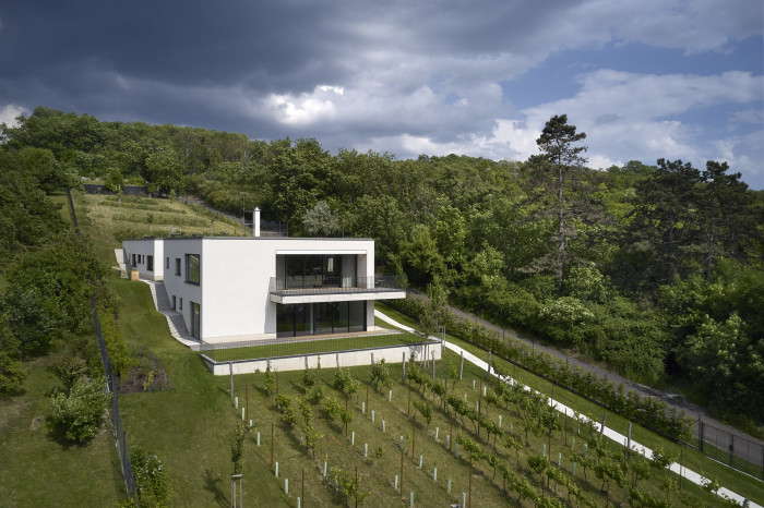 Vila ukrytá v krajině (Vila zasazená do krajiny vinohradu; Atelier RAW)