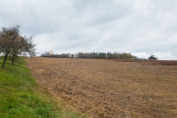 Útulna, Jan Tyrpekl