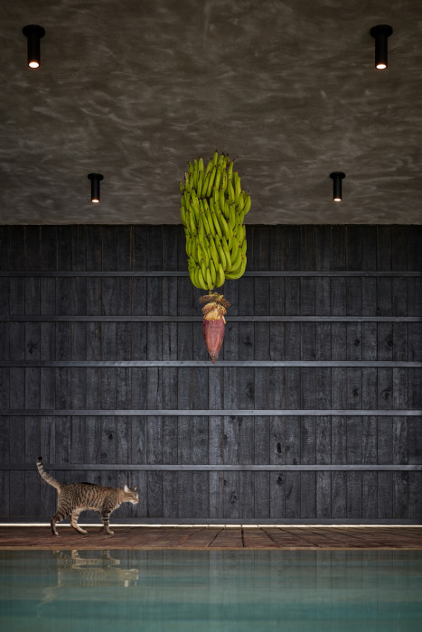 Art Villas Costa Rica, Atelier Villa, Formafatal/ Dagmar Štěpánová