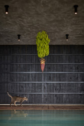 Art Villas Costa Rica, Atelier Villa, Formafatal/ Dagmar Štěpánová