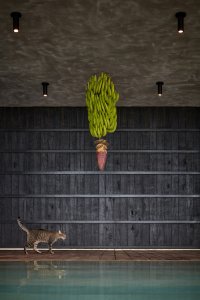 Art Villas Costa Rica, Atelier Villa, Formafatal/ Dagmar Štěpánová