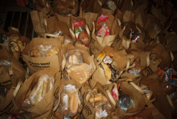 Pedagogové a studenti se budou zabývat cenově dostupným bydlením, komunitním bydlením, strategickým urbanismem, vzděláváním, zkoumáním právního systému nebo analyzováním toho, jak je v naší společnosti chudoba vnímána.