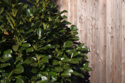 Rodinný dům Jaroslavice u Zlína, Prodesi/Domesi