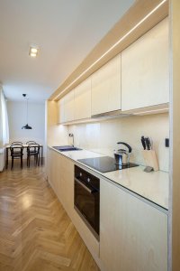 Zábran Nová architekti, Rekonstrukce bytu Plzeň-Bory – foto