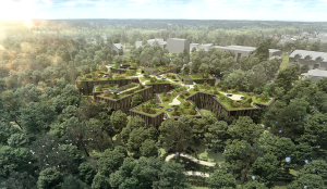Chybik+Kristof zvítězili ve velké architektonické soutěži na sídlo Českých lesů.