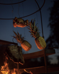 Mechanical, Jakub Jarcovják