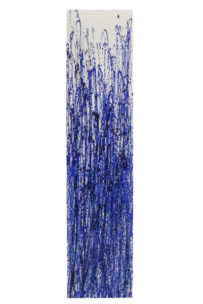 Radiátor Cinier ahmady bleu.