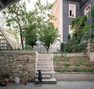 Úpravami prošla taky zahrada. (Dům v Kutné Hoře, BYRÓ architekti)
