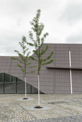 Společenské centrum Sedlčany, A8000/ Martin Krupauer, Pavel Kvintus, Daniel Jeništa, Stanislava Blažková