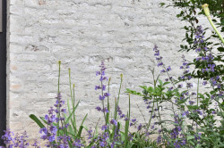 D3A architekti navrhli bytový dům v novém komplexu Smíchov City.