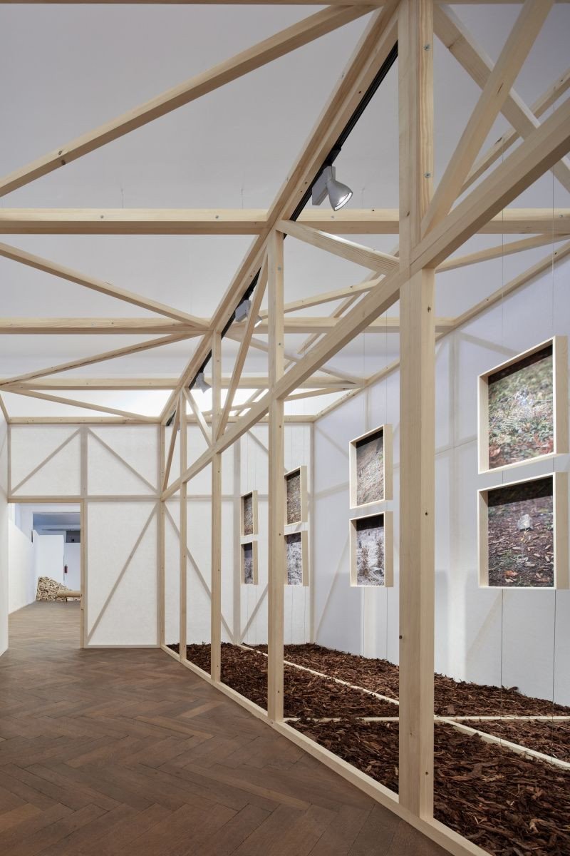 Mjölk architekti, výstava Dělat les