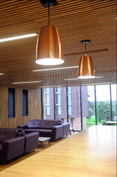 Vysokoškolské koleje Chamberlain Halls of Residence v Birminghamu, Glancy Nicholls Architects.