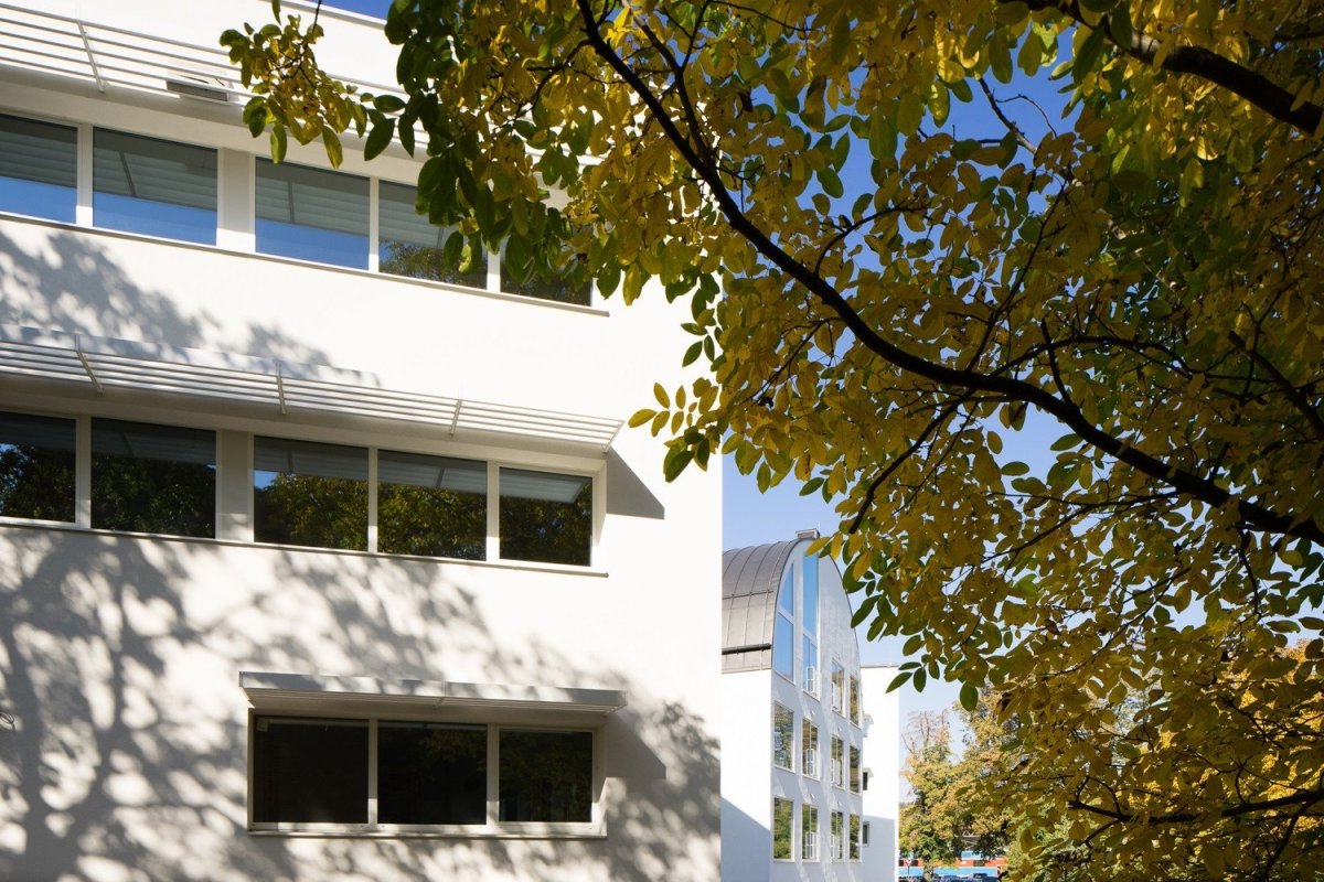 Corso Pod Lipami, Ehl & Koumar Architekti