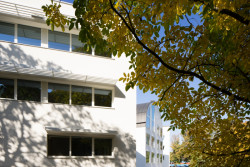 Corso Pod Lipami, Ehl & Koumar Architekti