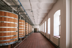 Uvnitř továrny (Rekonstrukce přádelny v Kežmarku; BEEF Architekti)