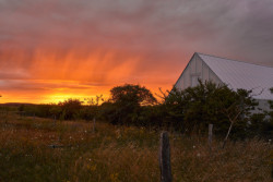 Víkendový dům "Das Glashaus" v Německu, Sigurd Larsen: Směrem na západ je celý povrch střechy prosklený, takže pohled na zelené údolí a západy slunce lze zažít i zevnitř.