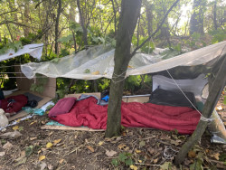 Pedagogové a studenti se budou zabývat cenově dostupným bydlením, komunitním bydlením, strategickým urbanismem, vzděláváním, zkoumáním právního systému nebo analyzováním toho, jak je v naší společnosti chudoba vnímána.