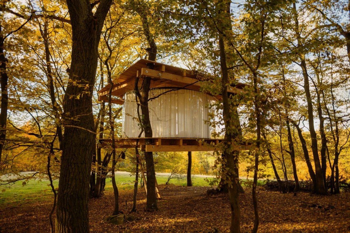 TREE HOUSE, Jan Tyrpekl. Foto: Jan Hromádko