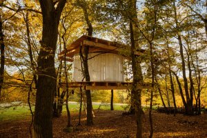 TREE HOUSE, Jan Tyrpekl. Foto: Jan Hromádko