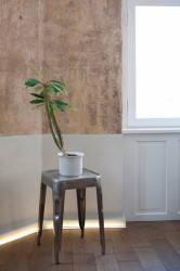 Edit!, Byt pro milovníky umění – foto