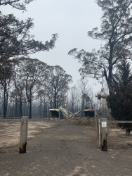 Foto po ničivém požáru v údolí Kangaroo Valley