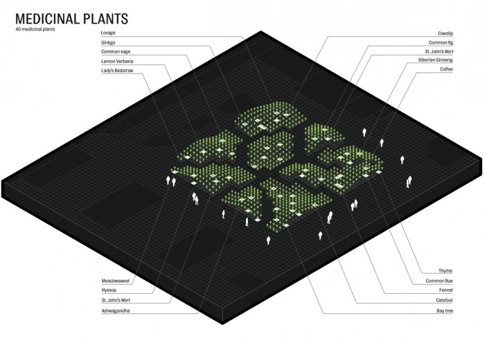 Victoria Pragensis, diagram rozmístění léčivých rostlin, llj architects/ Haenke