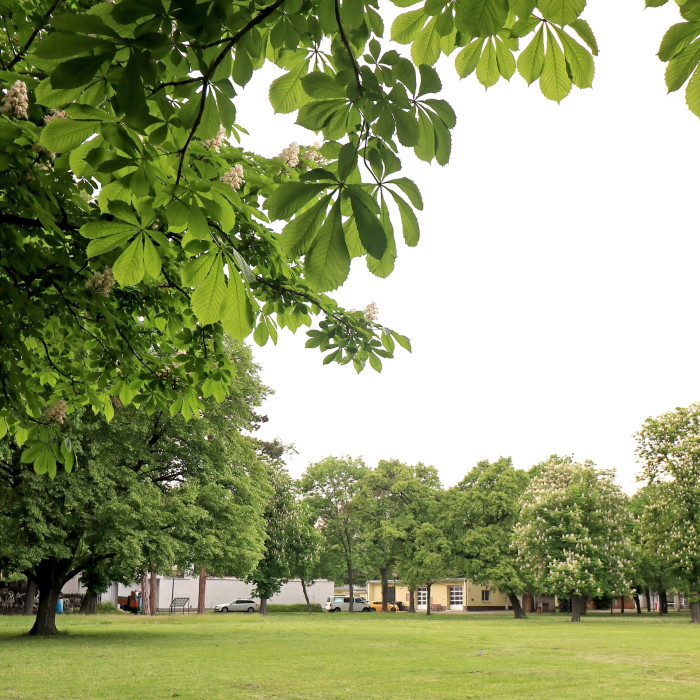 Pohled na řešené území