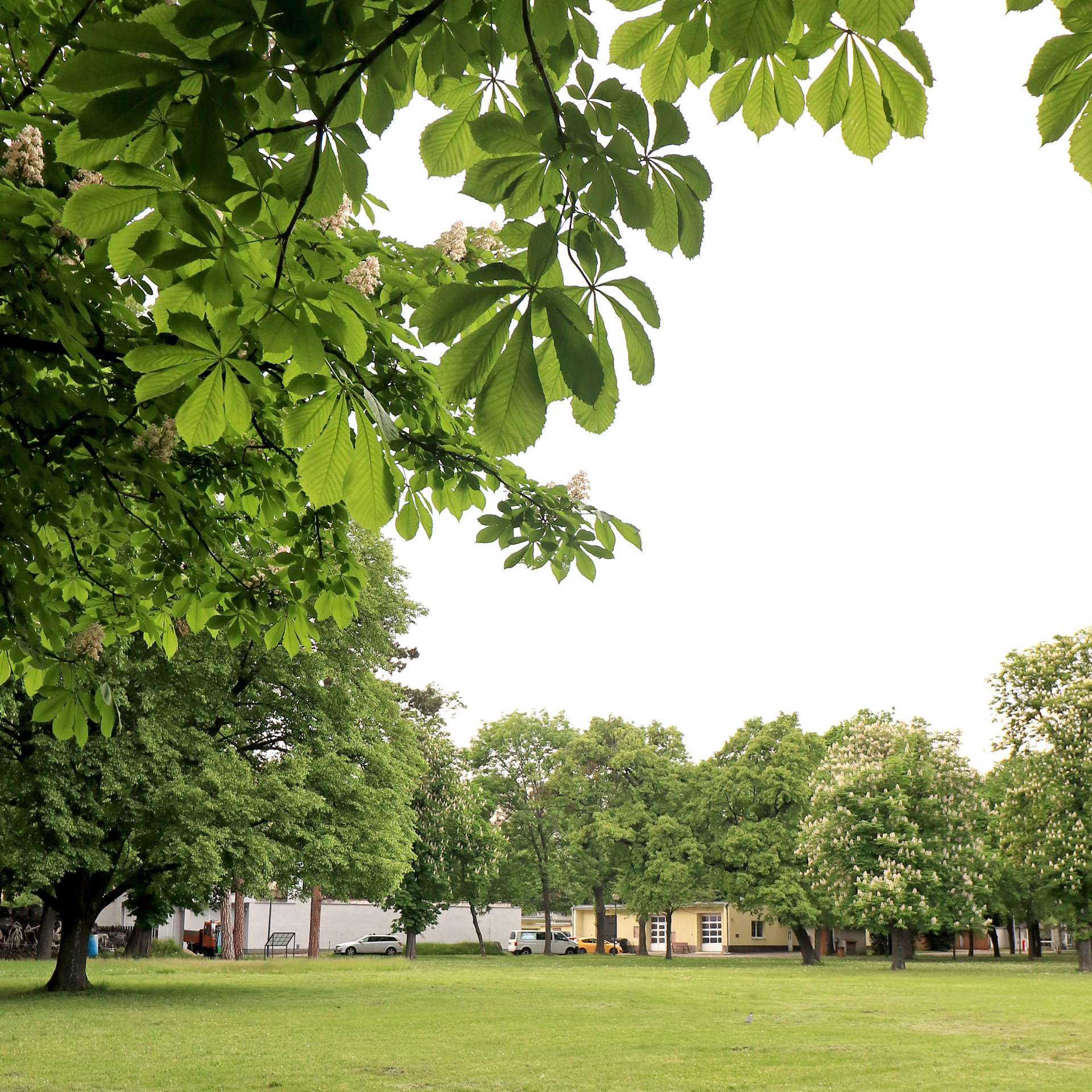 Pohled na řešené území