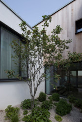 plusminusarchitects, Vrakuňa house – foto