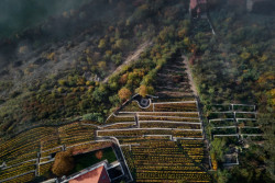 Degustační prostor Fibonacci, Marco Maio Architects: V jejich spodní části je pak prostor pro degustaci vína − intervence současné architektury navržená pražskou kanceláří Marco Maio Architects.