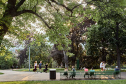 ...na původních trasách. (Obnova Riegrových sadů, Matouš Jebavý)