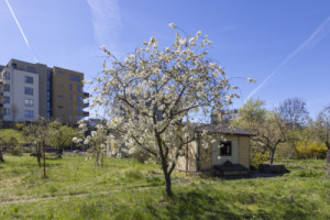 Zahrádky pod novostavbami (Proměna zahrádkářské kolonie na park v Praze; Terra Florida)
