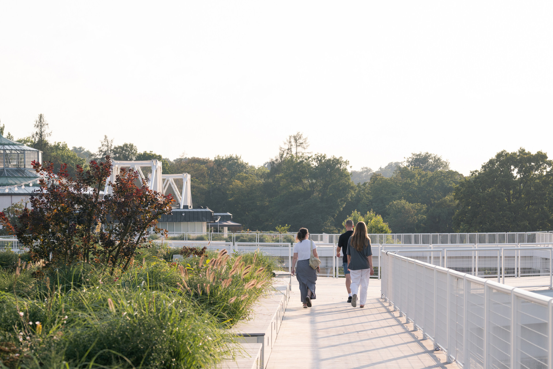 Po střeše se lze procházet, střechy všech pavilonů jsou propojeny. (Rekonstrukce Křižíkových pavilonů na Výstavišti)