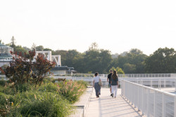 Po střeše se lze procházet, střechy všech pavilonů jsou propojeny. (Rekonstrukce Křižíkových pavilonů na Výstavišti)