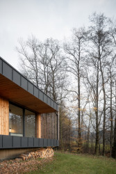 Dřevěný rodinný dům od studio Ark